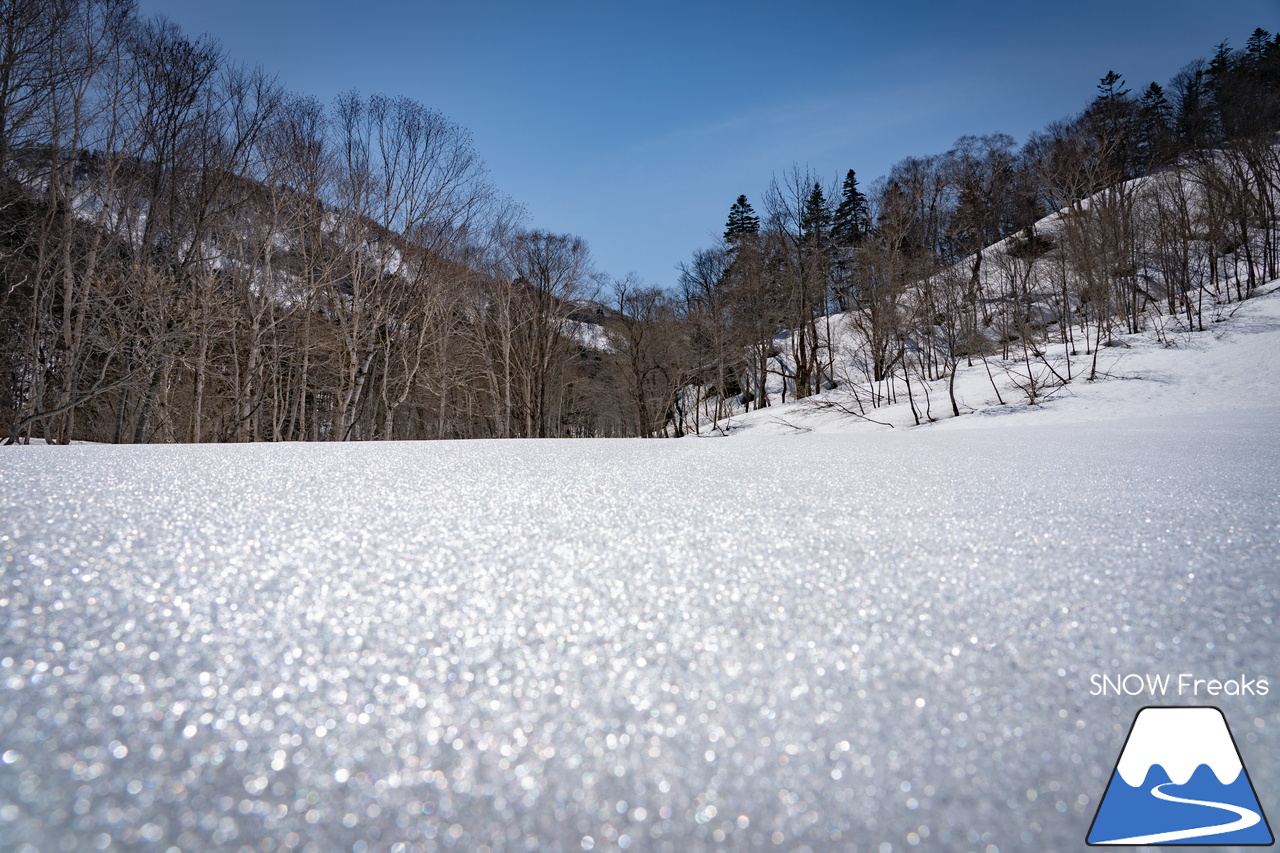 札幌国際スキー場｜ゴールデンウイーク初日も全コース滑走可能OK！！真っ白な雪と澄んだ青空 ＝ 絶好の春スキー＆スノーボード日和♪そして、日本海の彼方に、なんと利尻富士が見えた？！
